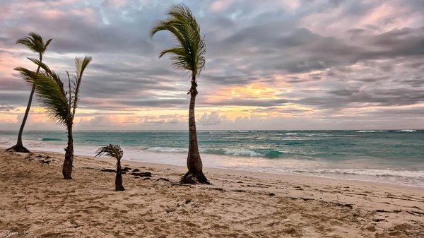 MSC Croisières : positionnement sur le marché et offres exceptionnelles